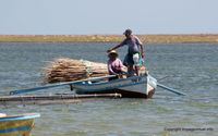 kerkennah-el-ataya-port-47.jpg