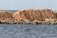 kerkennah-el-attaya-1.jpg