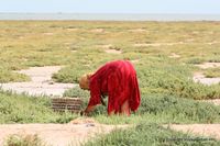kerkennah-el-attaya-9.jpg