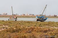 kerkennah-chergui-30.jpg