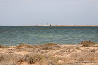 kerkennah-chergui-9.jpg