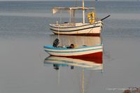 Nom du fichier=kerkennah-sidi-frej-48.jpg
Taille du fichier=152Ko
Dimensions : 1280x853
Ajouté le : 09 Février 2009 kerkennah-sidi-frej-48.jpg